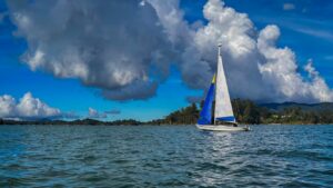 Pourquoi l&rsquo;IA est le meilleur équipier sur un voilier ⛵🤖